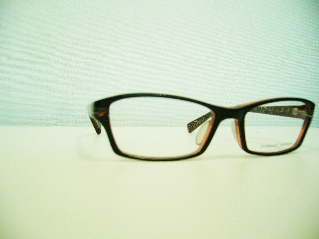 下手なりにいっぱい撮ってみました①